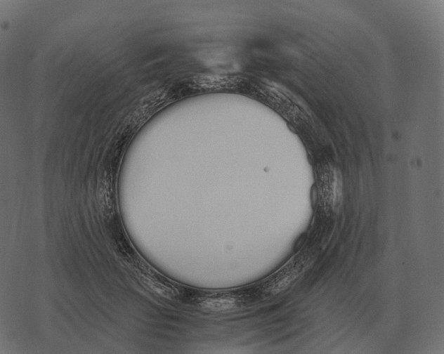 X0000073450653200608251707