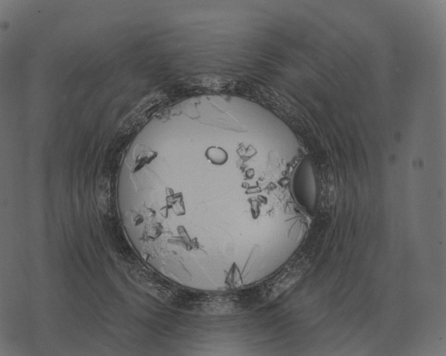 X0000073450656200608251707