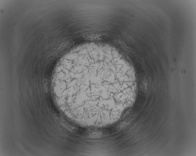 X0000073450658200608251707