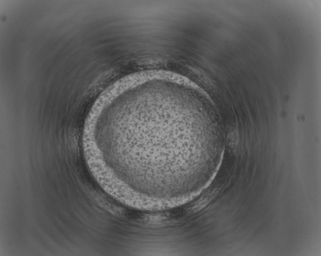 X0000073450662200608251707