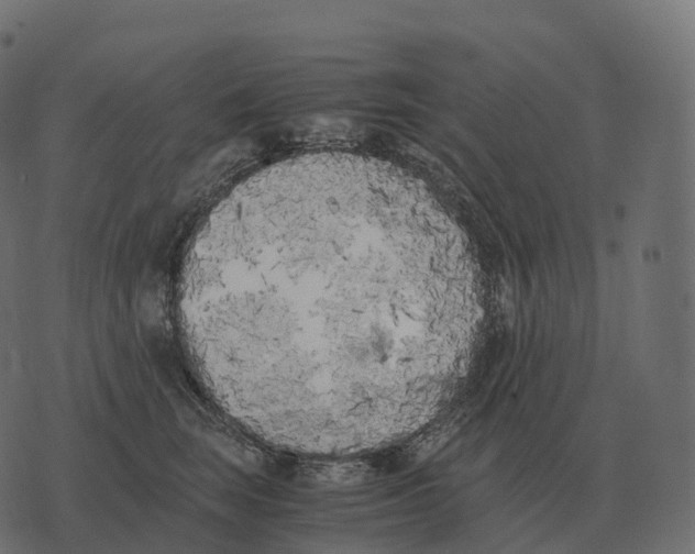 X0000073450663200608251707