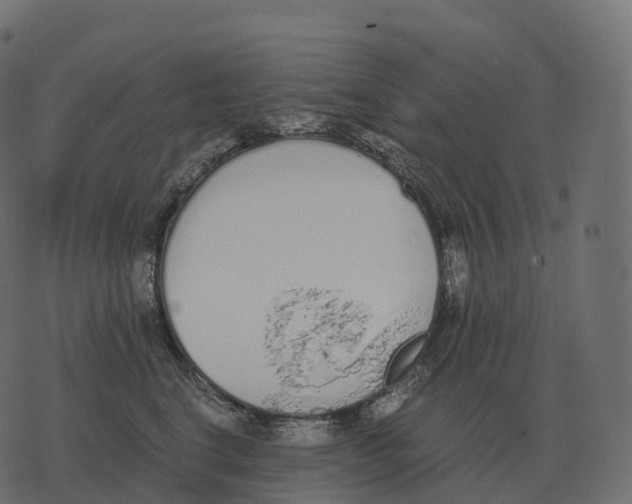 X0000073450664200608251707