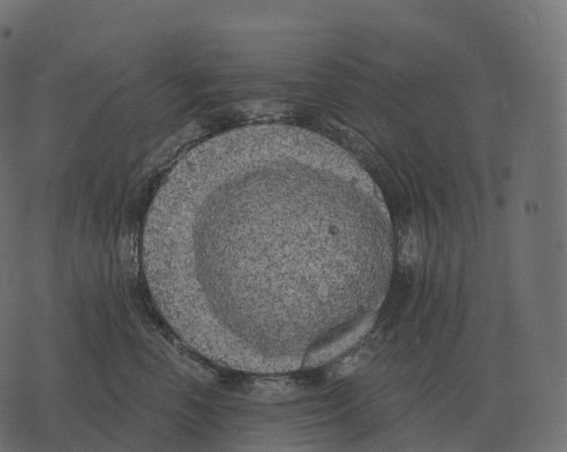 X0000073450666200608251707