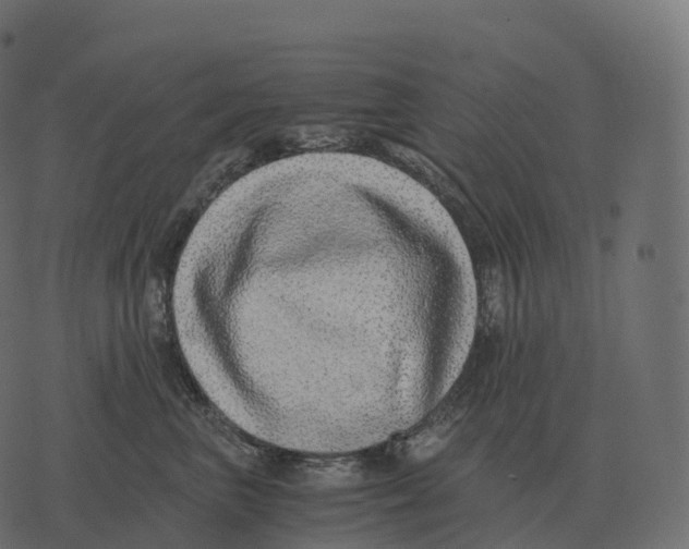 X0000073450667200608251707