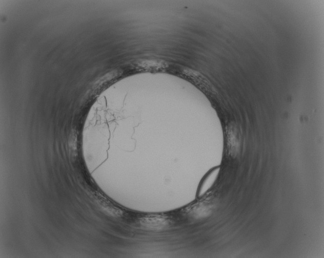 X0000073450668200608251707