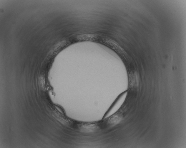 X0000073450669200608251707