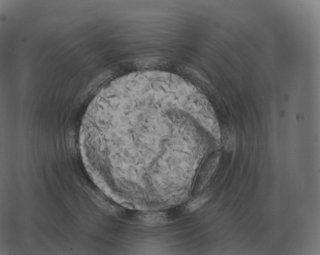 X0000073450670200608251707