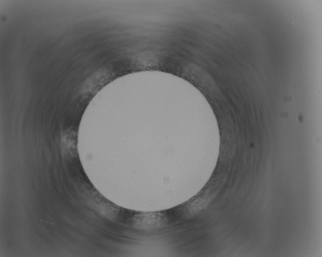 X0000073450672200608251707