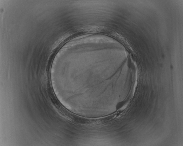 X0000073450674200608251706