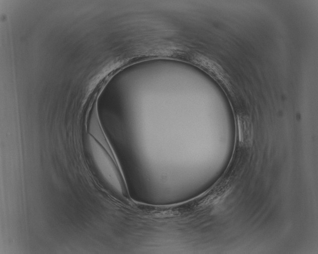 X0000073450675200608251706