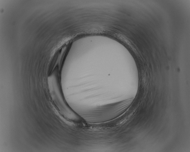 X0000073450677200608251706