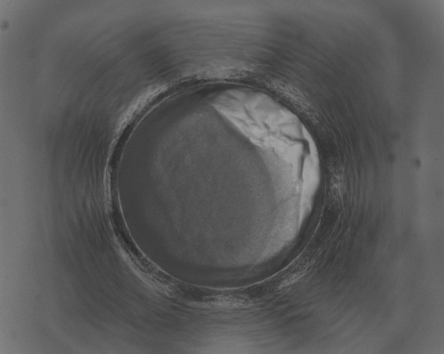 X0000073450678200608251706