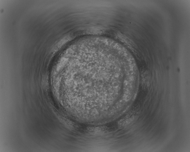 X0000073450679200608251706