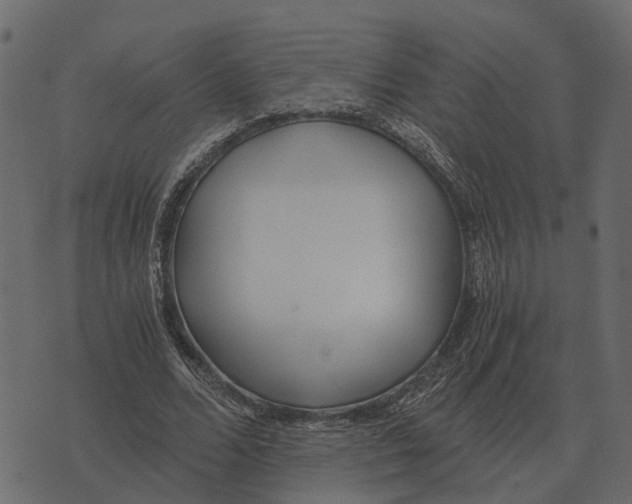 X0000073450680200608251706