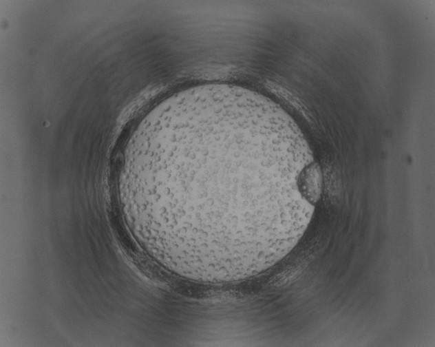 X0000073450682200608251706