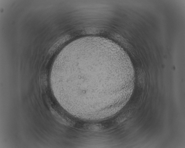 X0000073450683200608251706