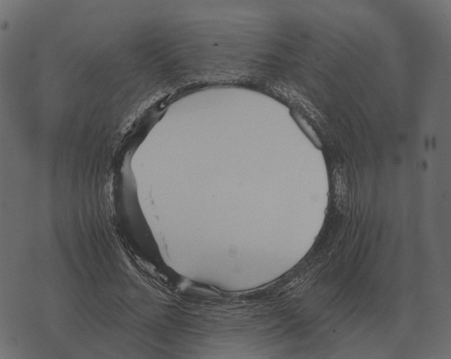 X0000073450684200608251706