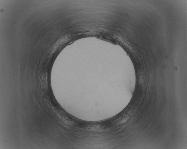 X0000073450685200608251706