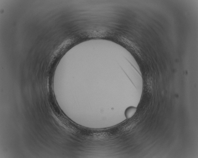 X0000073450686200608251706