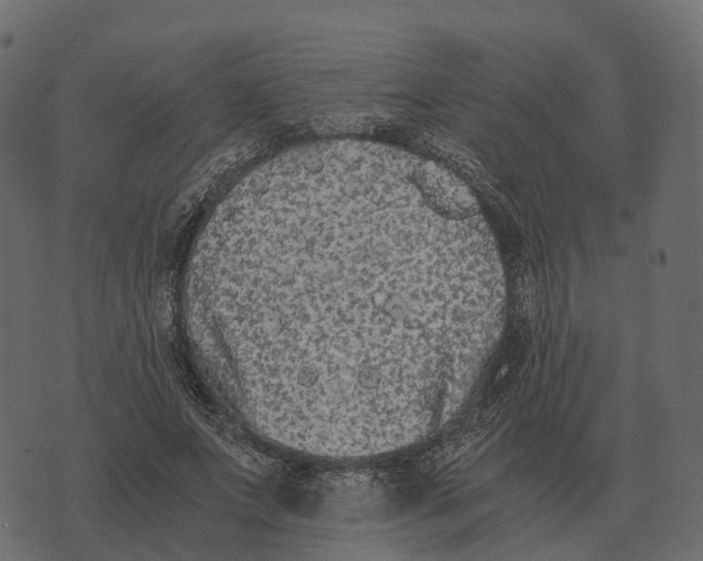 X0000073450687200608251706