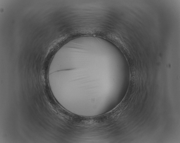 X0000073450688200608251706