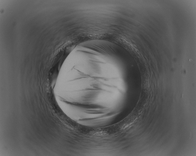 X0000073450689200608251706