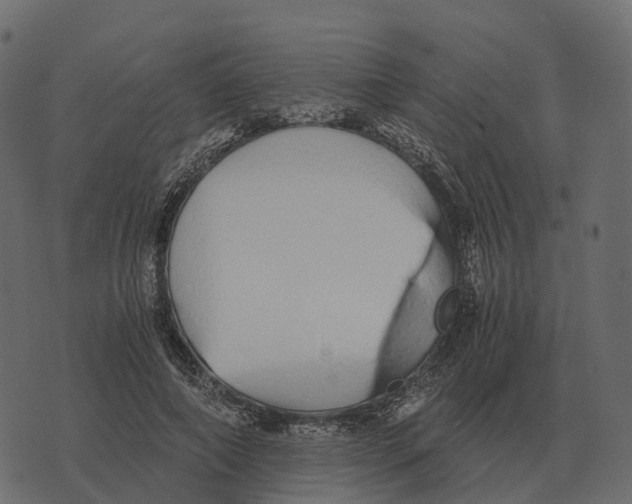 X0000073450690200608251706