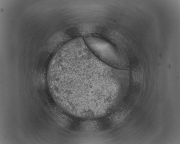 X0000073450691200608251706