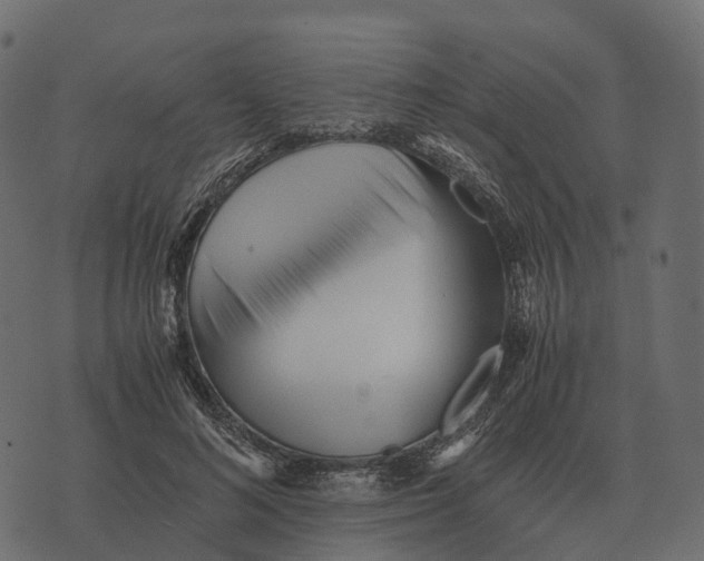 X0000073450692200608251706