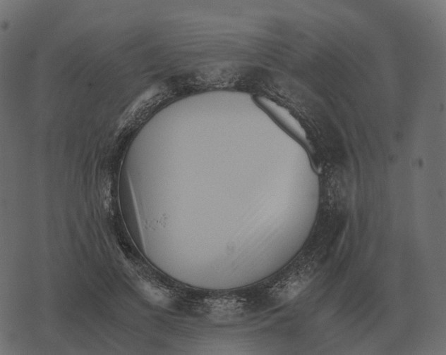 X0000073450693200608251706