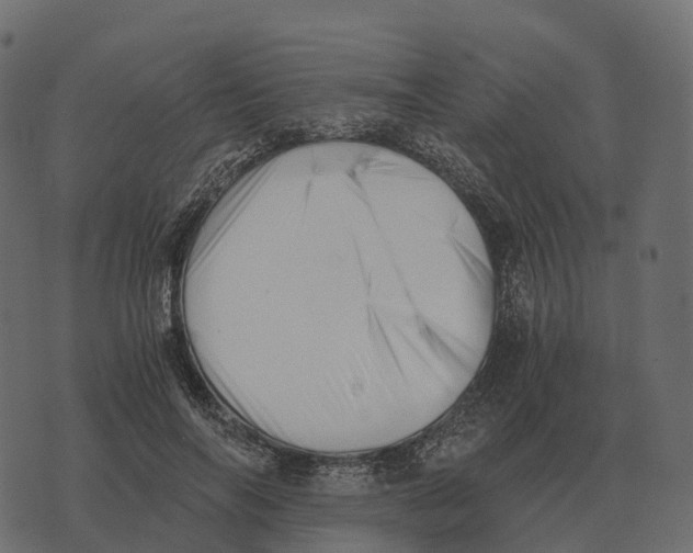 X0000073450694200608251706