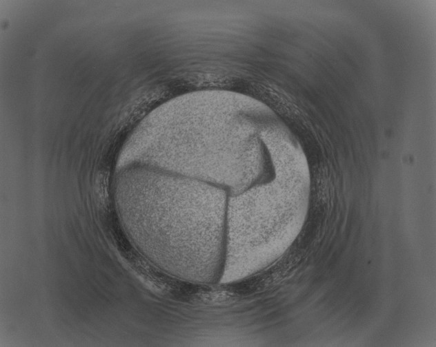 X0000073450695200608251706