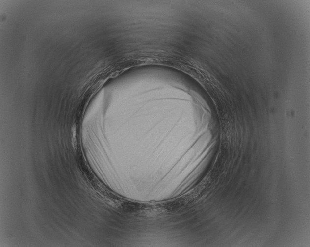 X0000073450696200608251706