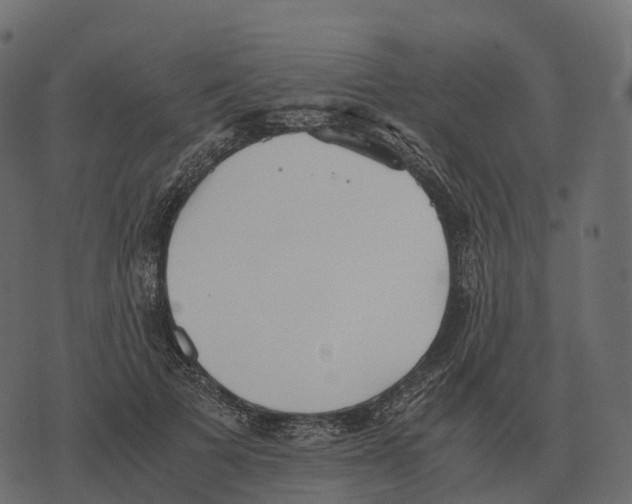 X0000073450697200608251706