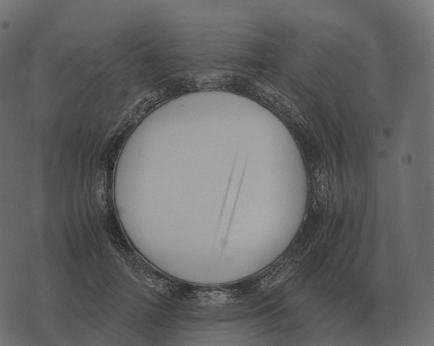 X0000073450698200608251706