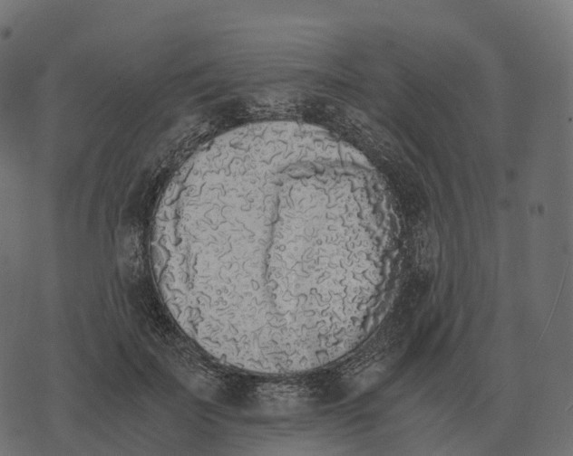 X0000073450699200608251706