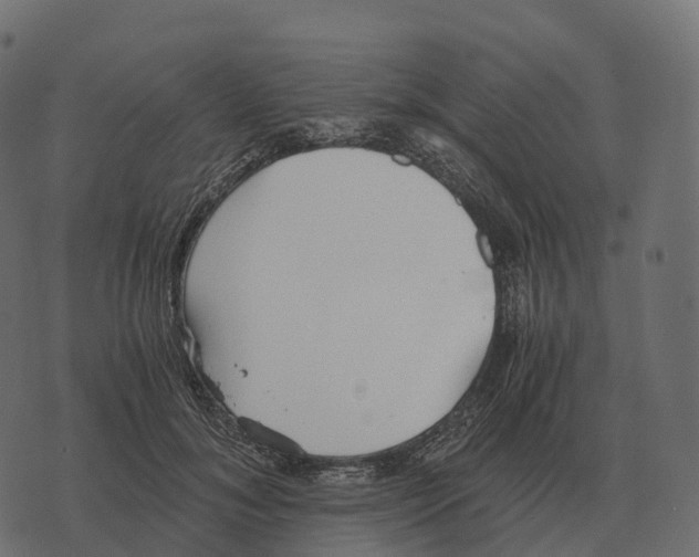 X0000073450700200608251706