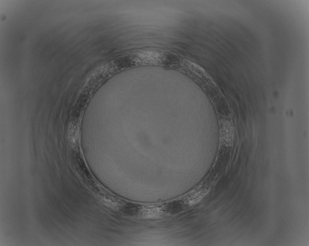 X0000073450701200608251706