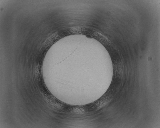 X0000073450702200608251706