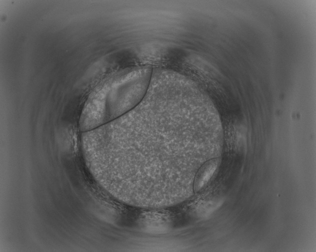 X0000073450703200608251706