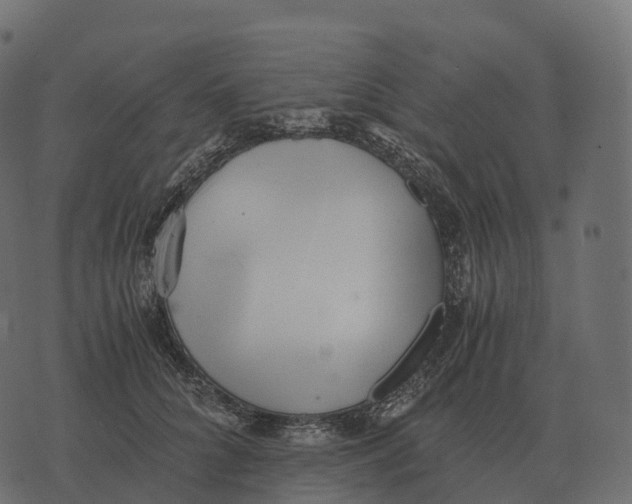 X0000073450704200608251706