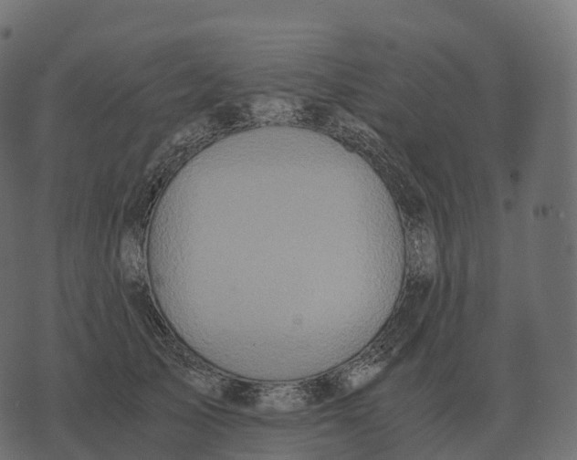 X0000073450705200608251706