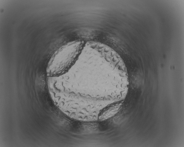 X0000073450707200608251706