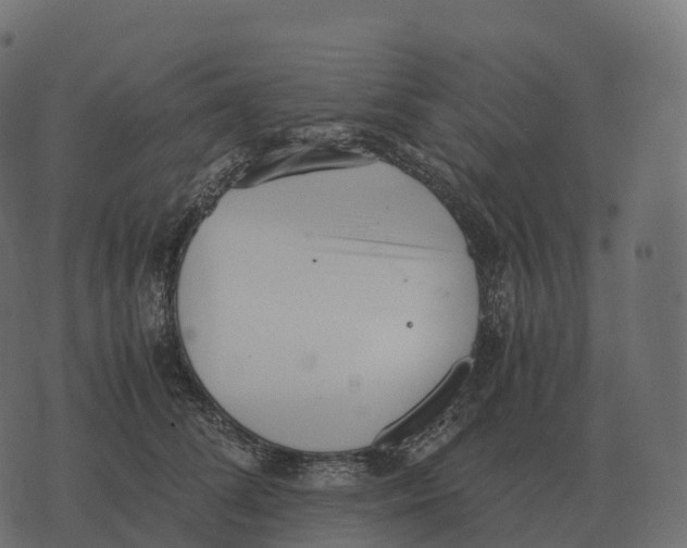 X0000073450708200608251706