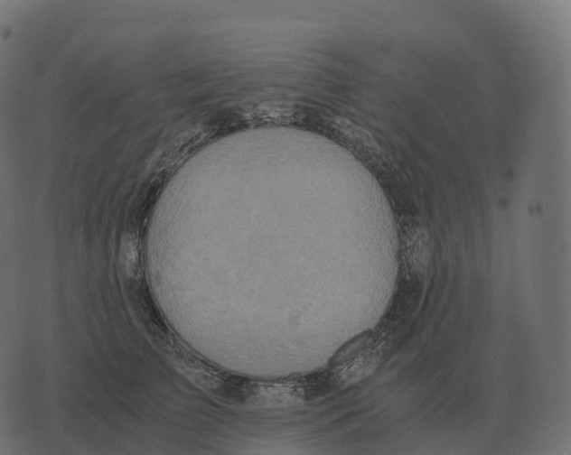 X0000073450709200608251706