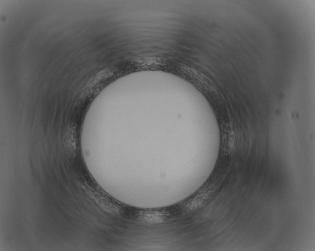 X0000073450710200608251706