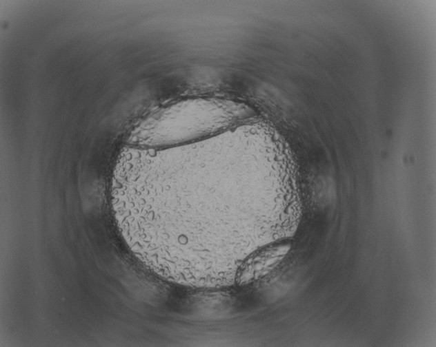 X0000073450711200608251706