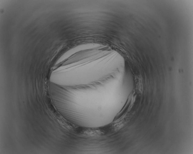 X0000073450712200608251706