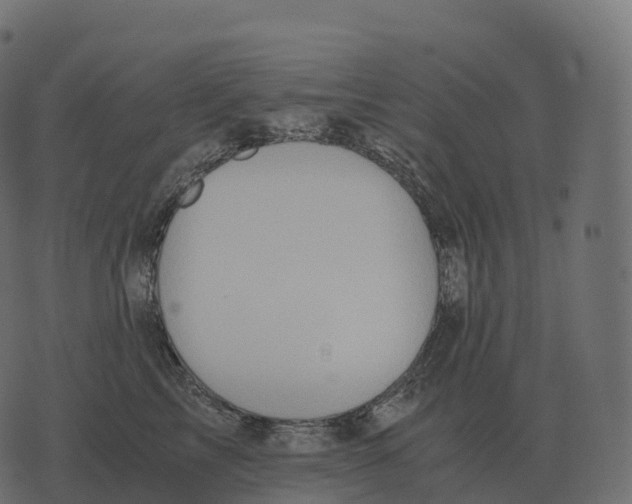 X0000073450713200608251706