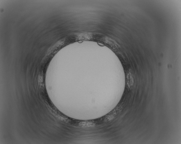 X0000073450714200608251706